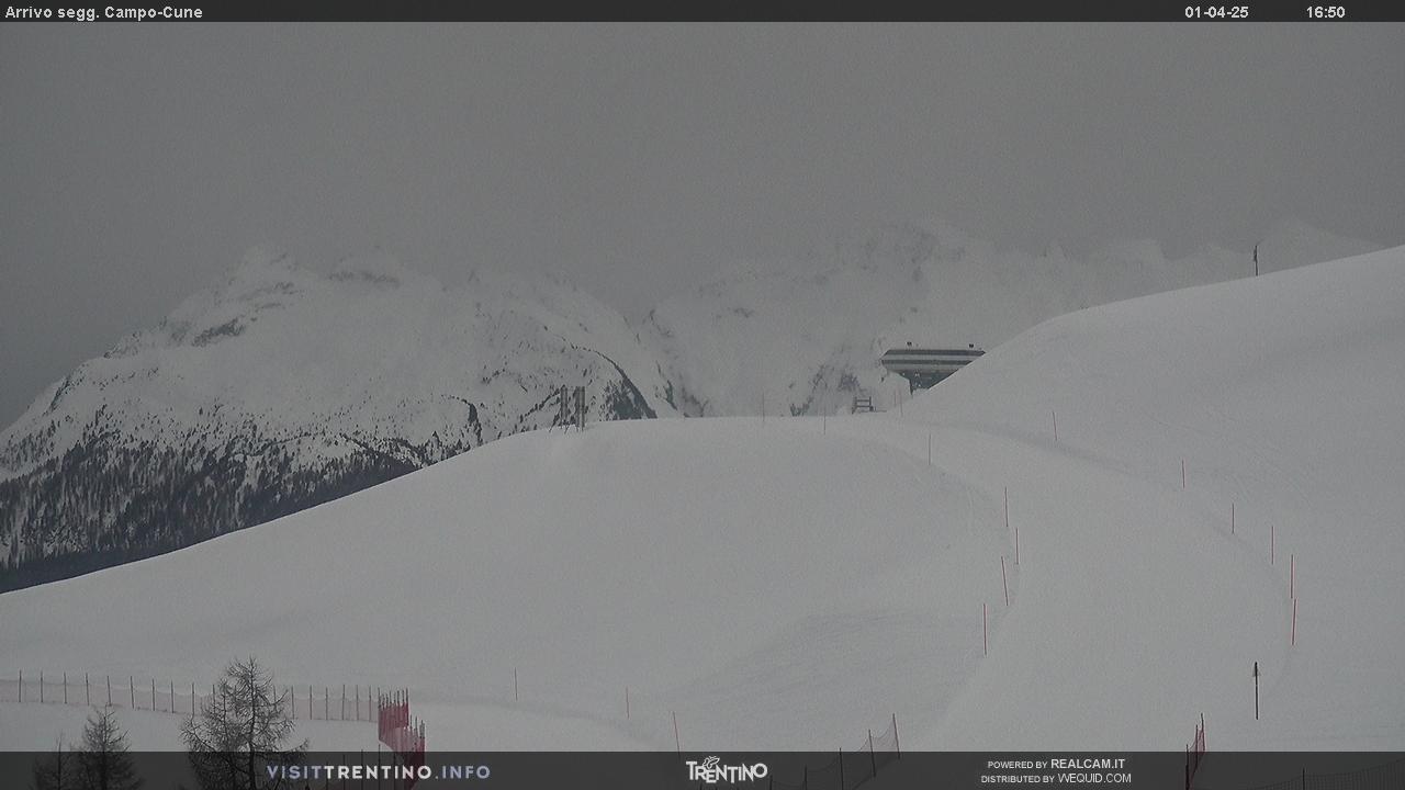 Webcam Moena - Alpe Lusia - Le Cune