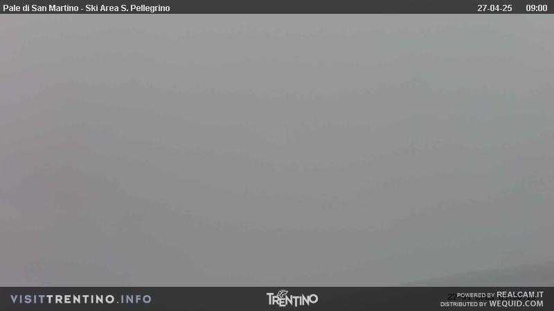 Webcam Pale di San Martino (TN)