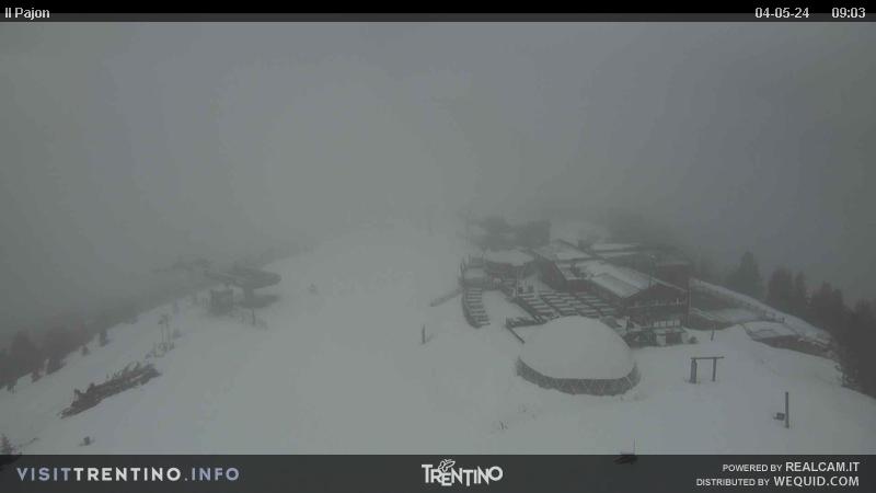 Webcam Alpe Cermis