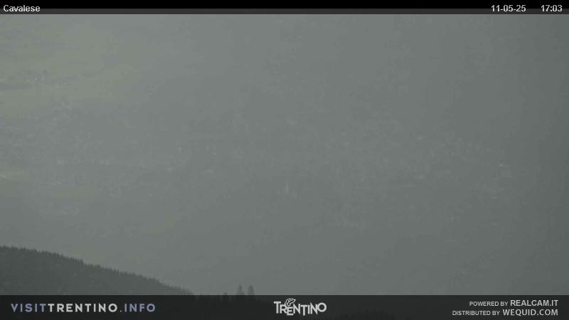 Webcam su Cavalese da Alpe Cermis
