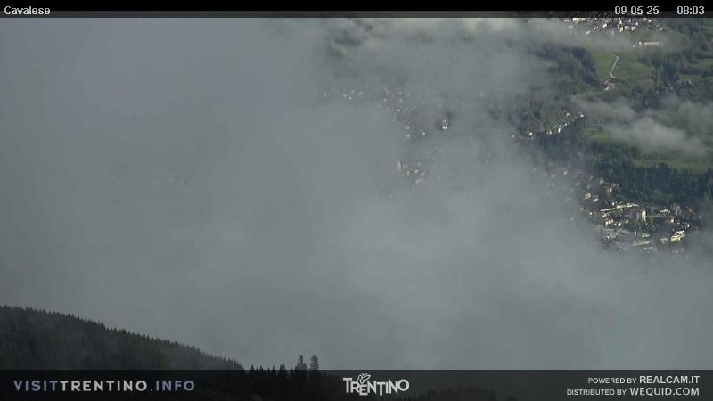 Webcam su Cavalese da Alpe Cermis