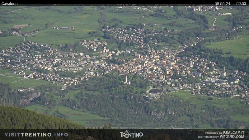 Webcam su Cavalese da Alpe Cermis