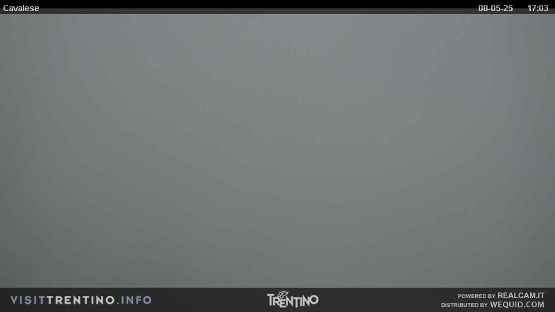 Webcam su Cavalese da Alpe Cermis