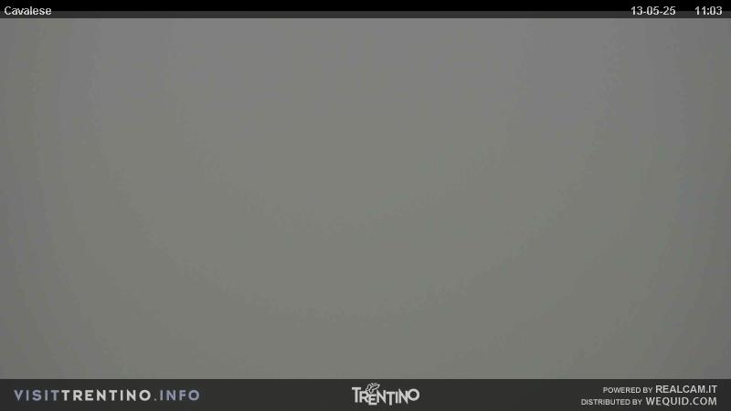 Webcam su Cavalese da Alpe Cermis