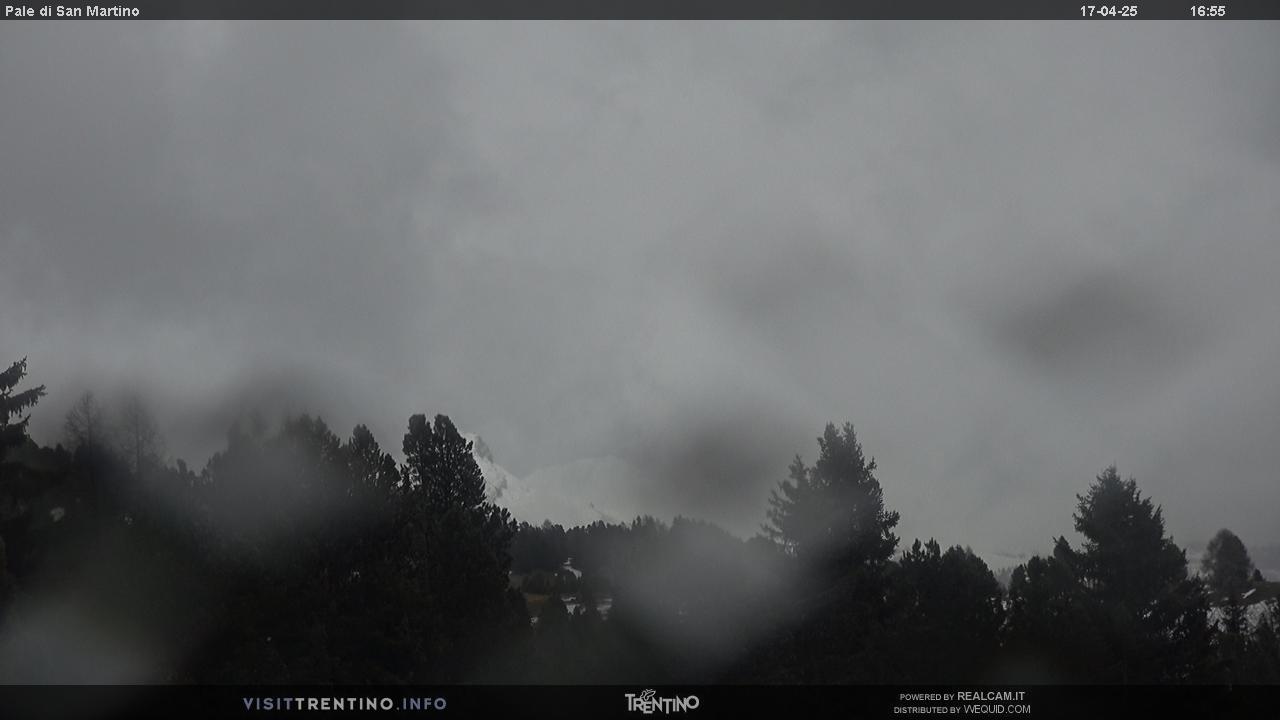 Preview delle webcam di Bellamonte (TN)