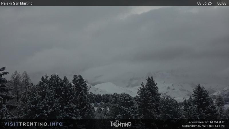 Webcam Pale di San Martino da Bellamonte