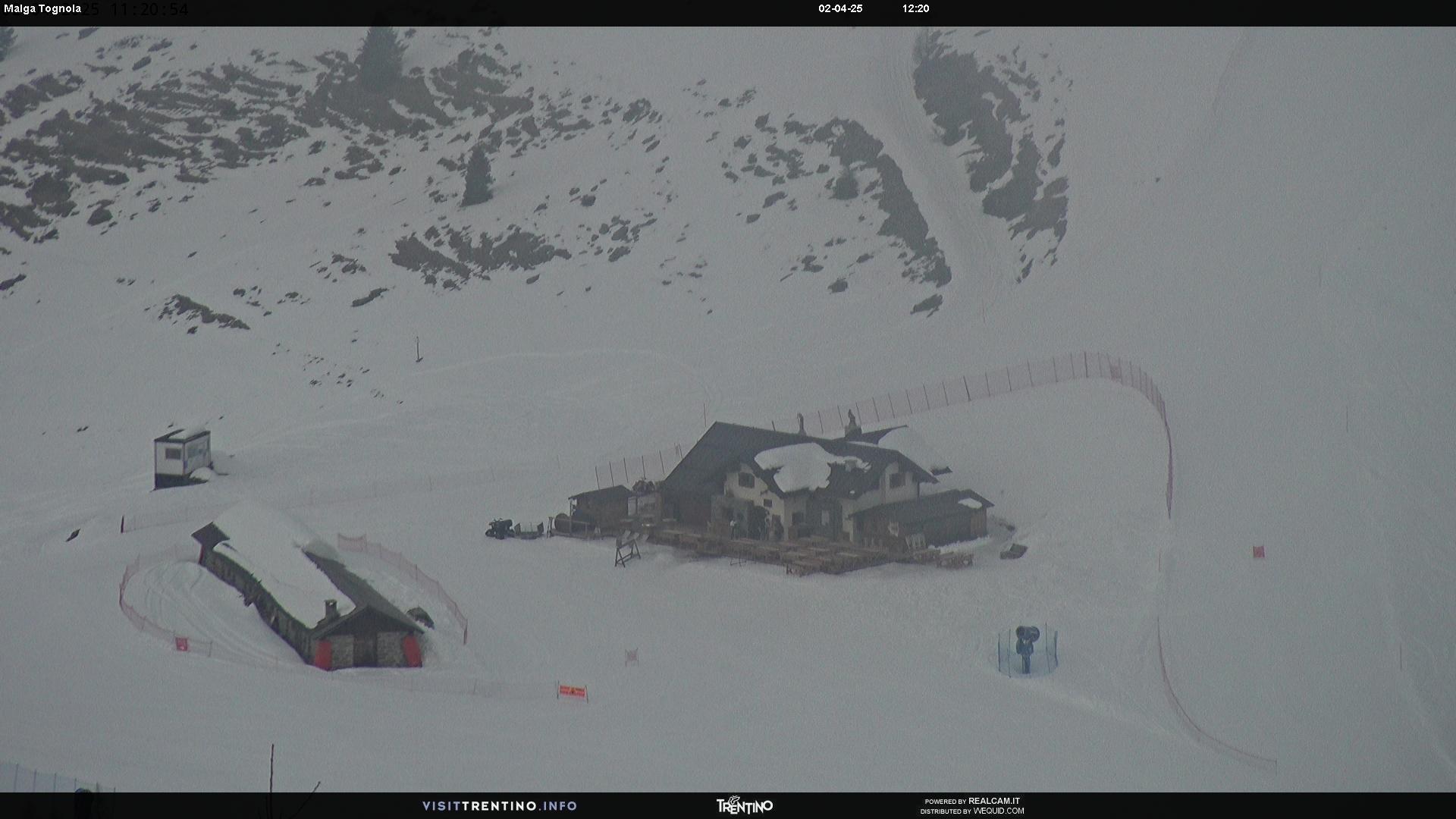 San Martino Webcam Malga Tognola